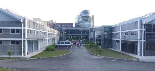 創(chuàng)園國際執(zhí)行總裁杜樹萍 不忘初心 方得始終